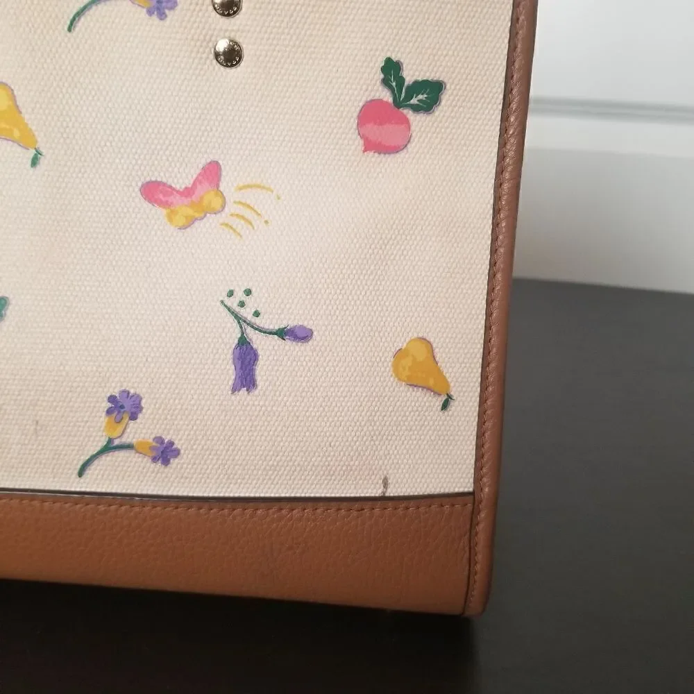 Coach Dreamy Veggie Dempsey Handbag